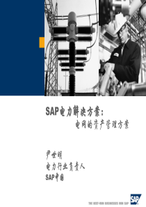 SAP电力解决方案：电网的资产管理方案