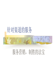 方正-针对渠道的服务-备份文件(1)