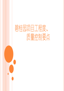 碧桂园项目工程进度_质量控制要点（PPT38页)