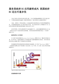 服务型政府BI应用蔚然成风 我国政府BI迈出可喜步伐