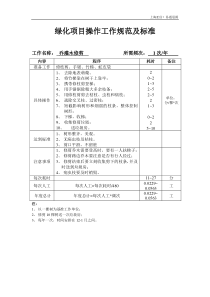 服务项目工作规范