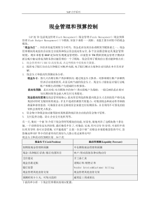 SAP自学系列-现金管理和预算控制