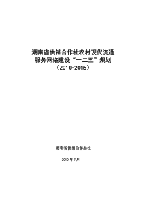 湖南省供销合作社农村现代流通服务网络建设“十二五”规划doc