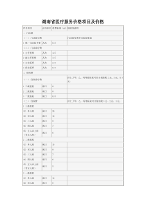 湖南省医疗服务价格项目及价格doc-湖南省医疗服务价格项