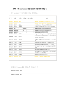 SAP薪酬计算schema实例详解