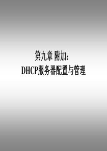 第九章附加DHCP服务