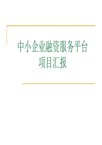 融资服务平台项目（PPT40页)