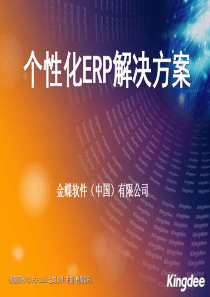 个性化ERP解决方案