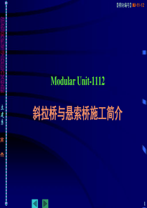 1115%20%20斜拉桥与悬索桥施工简介