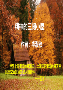 精神的三间小屋PPT课件