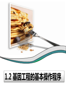 12_基因工程的基本操作程序