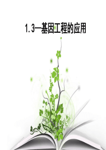 13_基因工程的应用