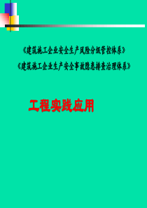 建筑施工双体系建设实践与应用