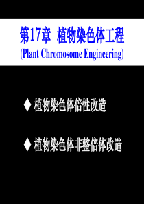 1700_植物染色体工程