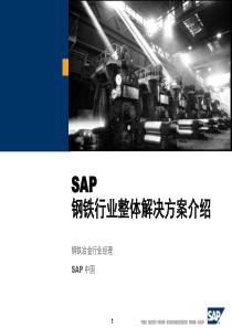 SAP钢铁行业整体解决方案介绍(PPT 91)