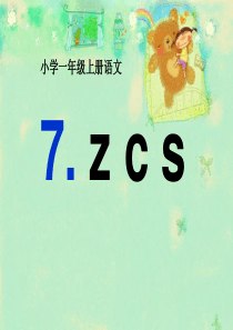 《zcs》PPT课件(1)