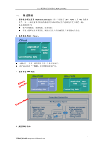 SAP集团策略及传输管理