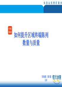 如何提升终端陈列数量与质量(传统渠道)