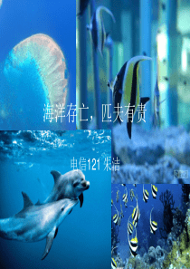 海洋生物介绍