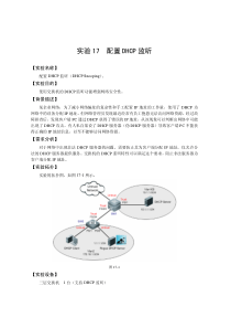 28【工程实验室】【配置DHCP监听】