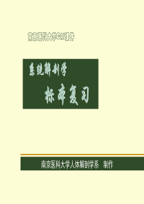 系统解剖学标本复习