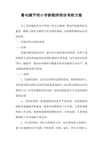 新教师培训考核方案