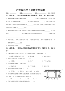 教科版六年级科学上册期中试卷(附答案)