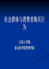 11社会群体与消费者