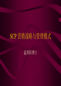 1SCP营销战略与管理模式