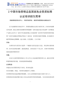 中国市场营销总监国家执业资质标准(pdf 34)