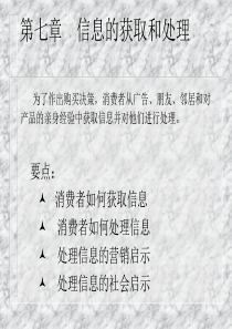 《消费者行为学——个体（第七章 信息处理）》