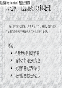 《消费者行为学——个体（第七章信息处理）》