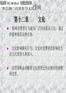 《消费者行为学——消费者与文化（第十二章文化）》