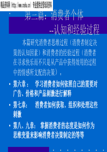 《消费者行为学——消费者个体（第六章消费者感知）》