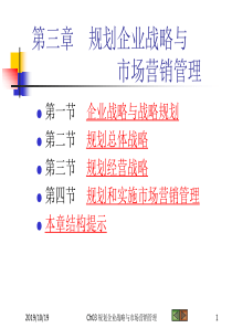 Ch03 规划企业战略与市场营销管理