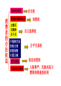 ISO9001业绩改进指南