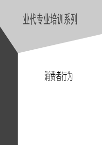 业代专业培训系列-消费者行为(2)