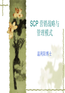 SCP 营销战略与管理模式