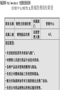 营销中心销售支持部经理岗位说明书