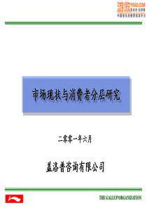 市场现状与消费者分层研究(86)