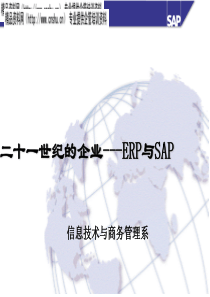 二十一世纪的企业---ERP与SAP（PPT32页）