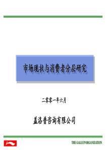 李宁体育用品服装市场现状与消费者分层研究