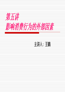 消费心理学第五讲营销消费行为的外部因素