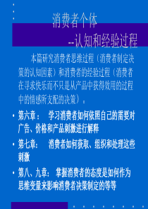 消费者个体认知和经验过程