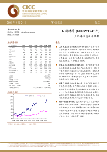 中金公司-G新材料-上半年业绩符合预期-060824(1)