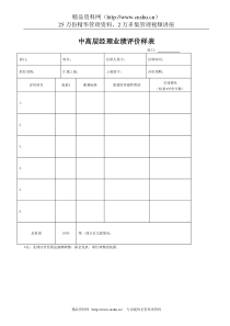 中高层经理业绩评价样表