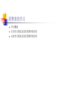 消费者的学习(2)