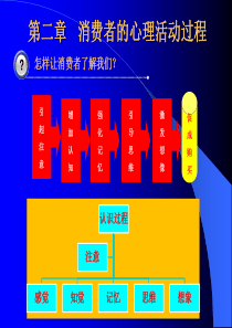 消费者的心理活动过程