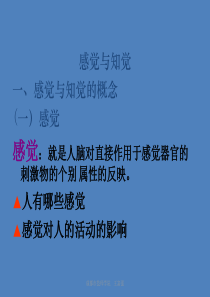 消费者的感觉与知觉（PPT111页)