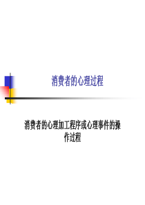 消费者的心理过程(PPT 87)